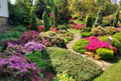 arboretum-wojslawice-2023_228