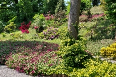 arboretum-wojslawice-2023_229