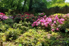 arboretum-wojslawice-2023_232