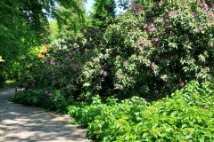 arboretum-wojslawice-2023_236