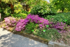 arboretum-wojslawice-2023_237