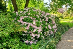 arboretum-wojslawice-2023_240