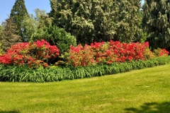arboretum-wojslawice-2023_241