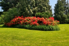 arboretum-wojslawice-2023_245
