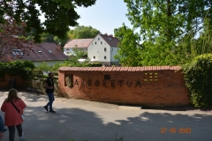 arboretum-wojslawice-2023_246