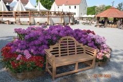 arboretum-wojslawice-2023_258