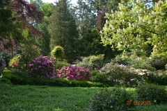 arboretum-wojslawice-2023_264