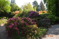 arboretum-wojslawice-2023_269