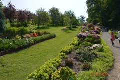 arboretum-wojslawice-2023_282