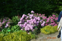 arboretum-wojslawice-2023_287