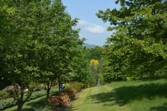 arboretum-wojslawice-2023_291