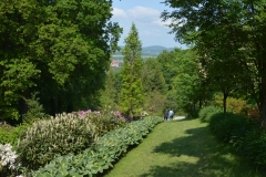 arboretum-wojslawice-2023_292