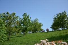 arboretum-wojslawice-2023_293
