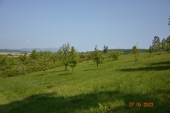 arboretum-wojslawice-2023_298