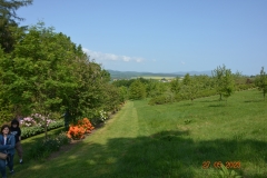 arboretum-wojslawice-2023_299