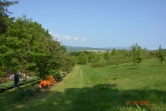 arboretum-wojslawice-2023_300