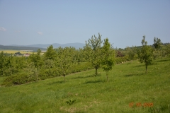 arboretum-wojslawice-2023_301