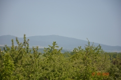arboretum-wojslawice-2023_302