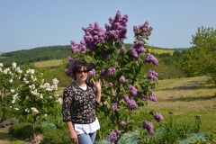 arboretum-wojslawice-2023_303