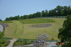arboretum-wojslawice-2023_311