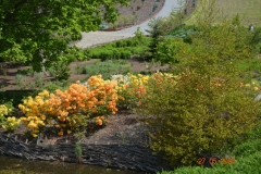arboretum-wojslawice-2023_318