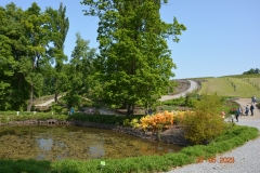 arboretum-wojslawice-2023_319