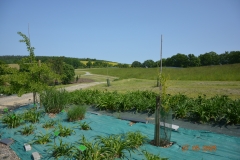 arboretum-wojslawice-2023_326