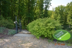arboretum-wojslawice-2023_328