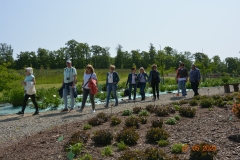 arboretum-wojslawice-2023_329