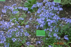 arboretum-wojslawice-2023_333