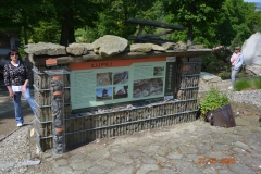 arboretum-wojslawice-2023_335