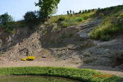arboretum-wojslawice-2023_338
