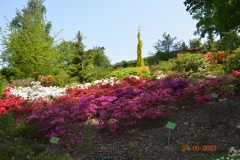 arboretum-wojslawice-2023_344