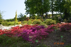arboretum-wojslawice-2023_345