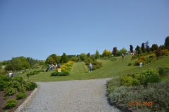 arboretum-wojslawice-2023_349