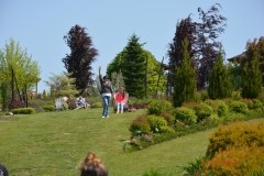 arboretum-wojslawice-2023_350