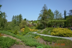 arboretum-wojslawice-2023_353