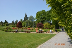 arboretum-wojslawice-2023_354