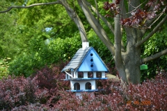 arboretum-wojslawice-2023_359