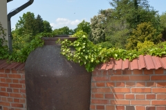 arboretum-wojslawice-2023_360