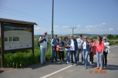 arboretum-wojslawice-2023_363