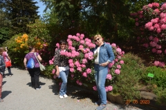 arboretum-wojslawice-2023_377