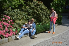 arboretum-wojslawice-2023_389