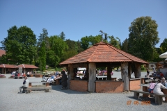 arboretum-wojslawice-2023_395