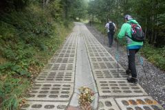 DSCN1225_c