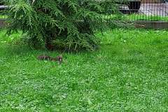 rabka_i_nowy-targ_016
