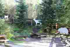 morskie-oko_i_czarny-staw_043