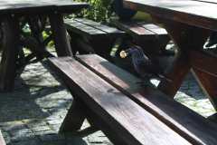 morskie-oko_i_czarny-staw_054