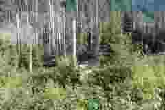 morskie-oko_i_czarny-staw_077