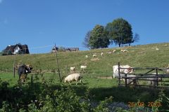 gubalowka_i_zakopane_027